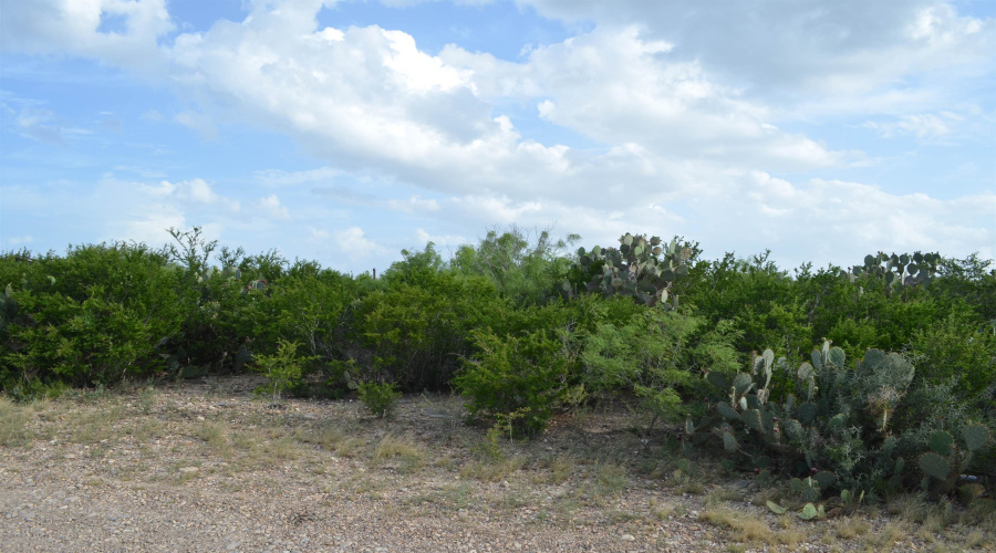 Lot 93 Los Centenarios, Laredo, Texas 78043, ,Land,For Sale,Lot 93 Los Centenarios,20263311