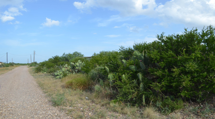 Lot 93 Los Centenarios, Laredo, Texas 78043, ,Land,For Sale,Lot 93 Los Centenarios,20263311