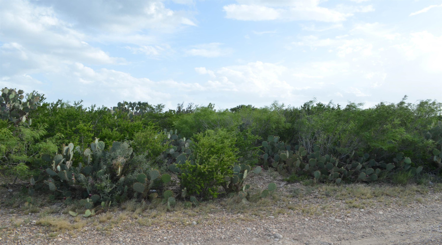 Lot 93 Los Centenarios, Laredo, Texas 78043, ,Land,For Sale,Lot 93 Los Centenarios,20263311