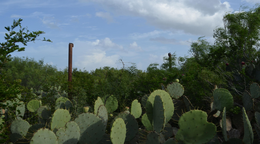 Lot 93 Los Centenarios, Laredo, Texas 78043, ,Land,For Sale,Lot 93 Los Centenarios,20263311