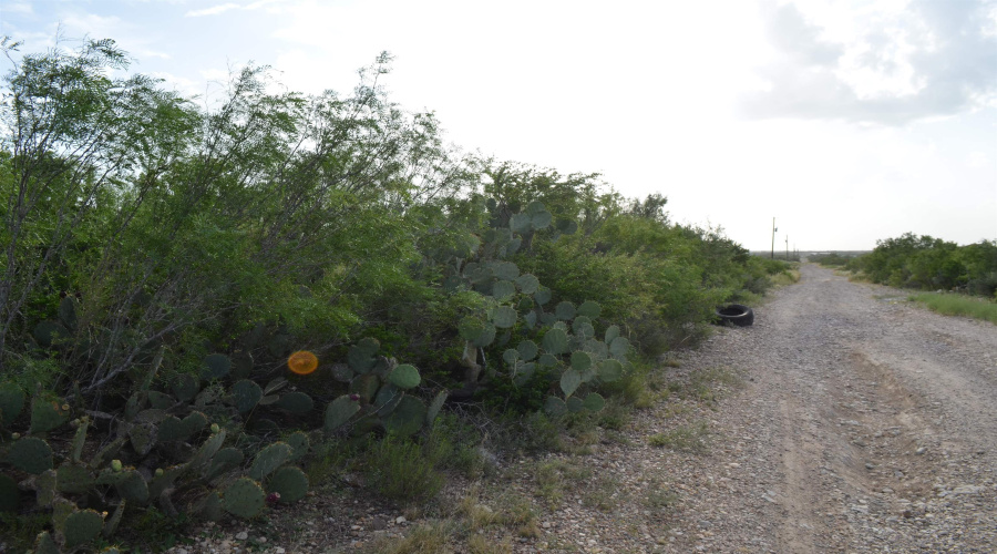Lot 93 Los Centenarios, Laredo, Texas 78043, ,Land,For Sale,Lot 93 Los Centenarios,20263311