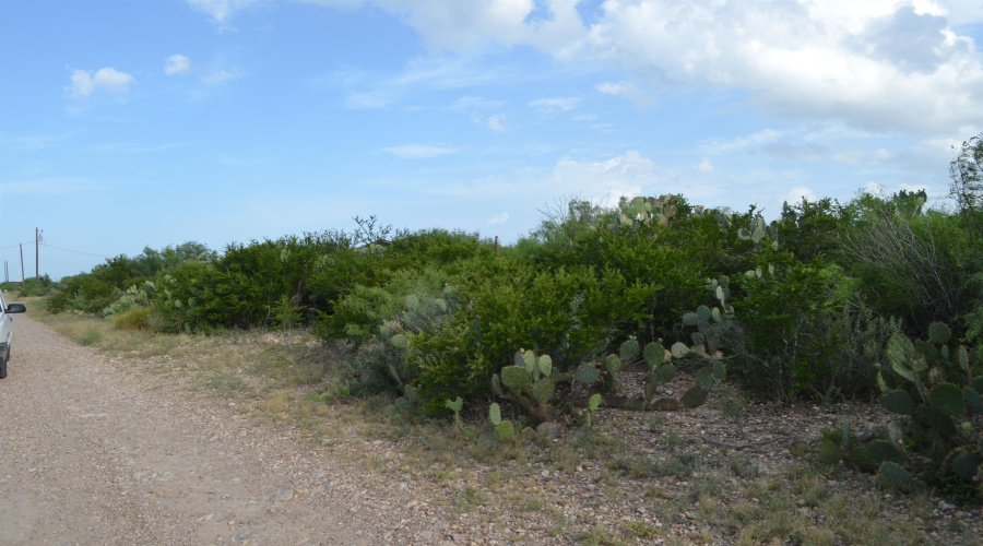Lot 93 Los Centenarios, Laredo, Texas 78043, ,Land,For Sale,Lot 93 Los Centenarios,20263311