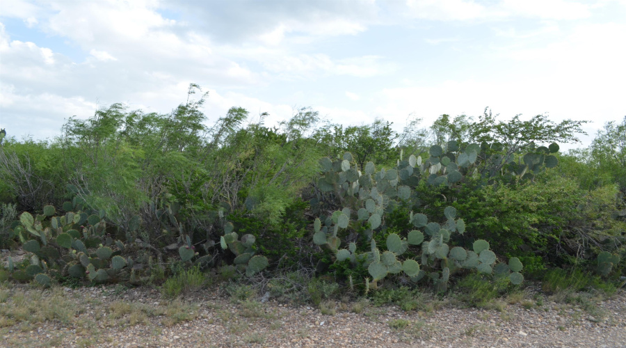 Lot 93 Los Centenarios, Laredo, Texas 78043, ,Land,For Sale,Lot 93 Los Centenarios,20263311