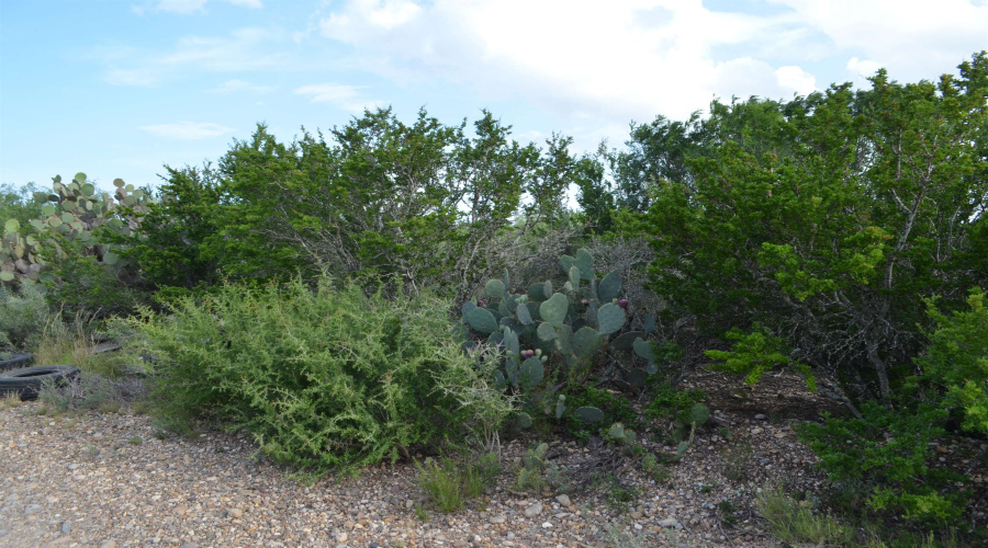 Lot 93 Los Centenarios, Laredo, Texas 78043, ,Land,For Sale,Lot 93 Los Centenarios,20263311