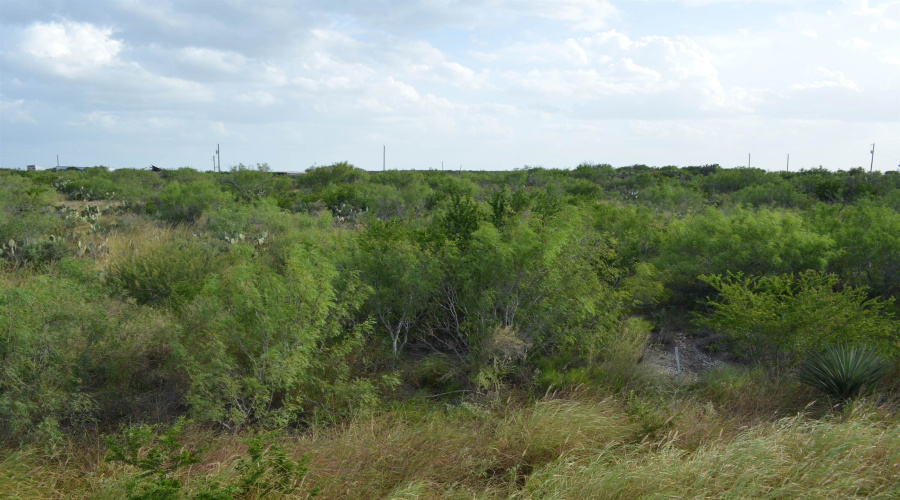 Lot 92 Los Centenarios, Laredo, Texas 78043, ,Land,For Sale,Lot 92 Los Centenarios,20263312