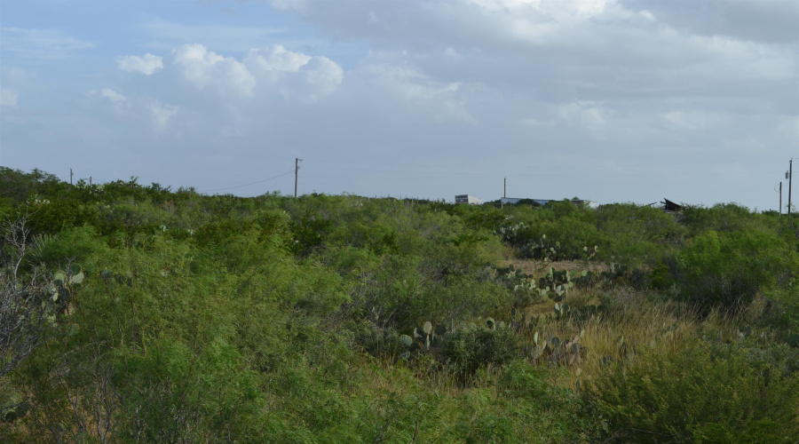 Lot 92 Los Centenarios, Laredo, Texas 78043, ,Land,For Sale,Lot 92 Los Centenarios,20263312