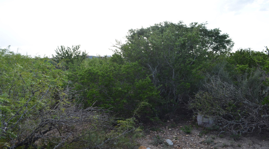 Lot 92 Los Centenarios, Laredo, Texas 78043, ,Land,For Sale,Lot 92 Los Centenarios,20263312