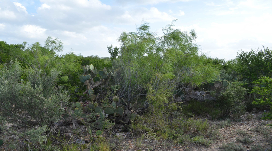 Lot 92 Los Centenarios, Laredo, Texas 78043, ,Land,For Sale,Lot 92 Los Centenarios,20263312