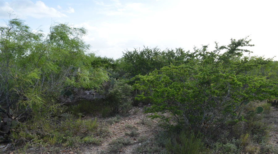 Lot 92 Los Centenarios, Laredo, Texas 78043, ,Land,For Sale,Lot 92 Los Centenarios,20263312