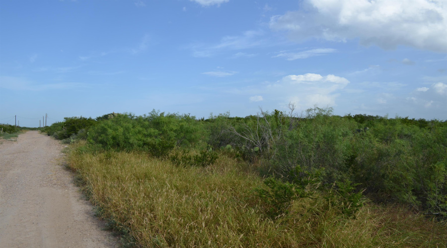 Lot 92 Los Centenarios, Laredo, Texas 78043, ,Land,For Sale,Lot 92 Los Centenarios,20263312