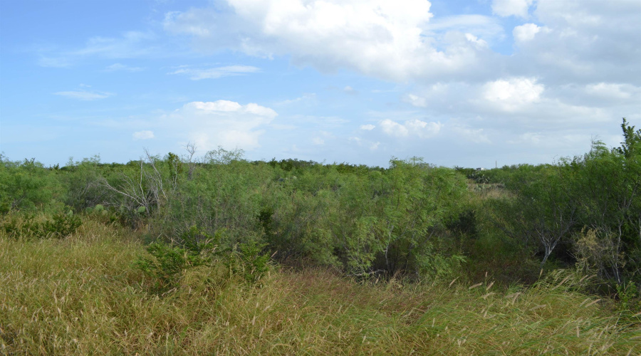 Lot 92 Los Centenarios, Laredo, Texas 78043, ,Land,For Sale,Lot 92 Los Centenarios,20263312