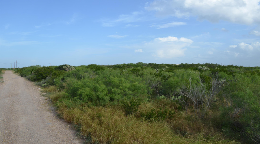 Lot 92 Los Centenarios, Laredo, Texas 78043, ,Land,For Sale,Lot 92 Los Centenarios,20263312