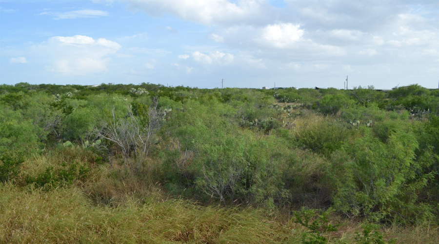 Lot 92 Los Centenarios, Laredo, Texas 78043, ,Land,For Sale,Lot 92 Los Centenarios,20263312