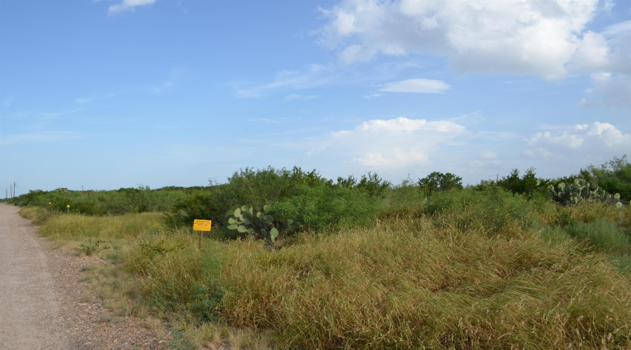 Lot 91 Los Centenarios, Laredo, Texas 78043, ,Land,For Sale,Lot 91 Los Centenarios,20263313