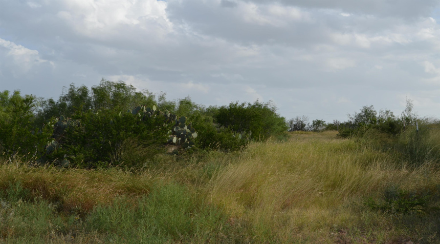 Lot 91 Los Centenarios, Laredo, Texas 78043, ,Land,For Sale,Lot 91 Los Centenarios,20263313