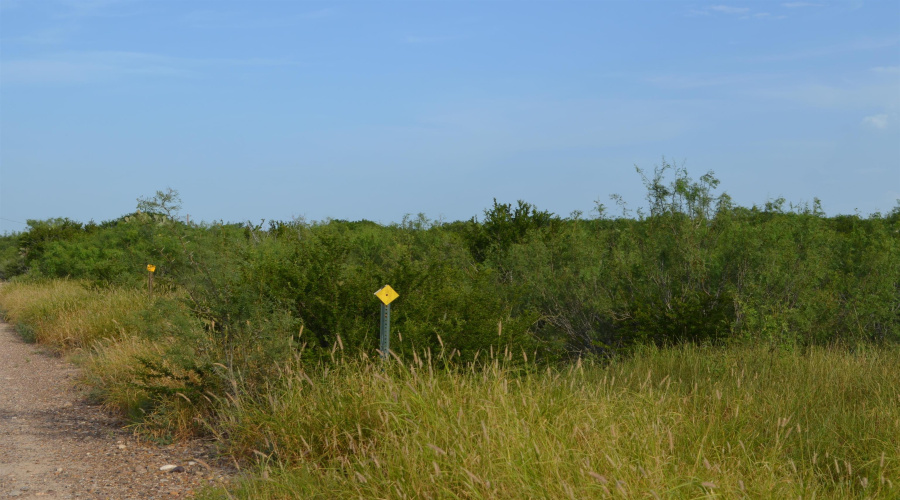 Lot 91 Los Centenarios, Laredo, Texas 78043, ,Land,For Sale,Lot 91 Los Centenarios,20263313