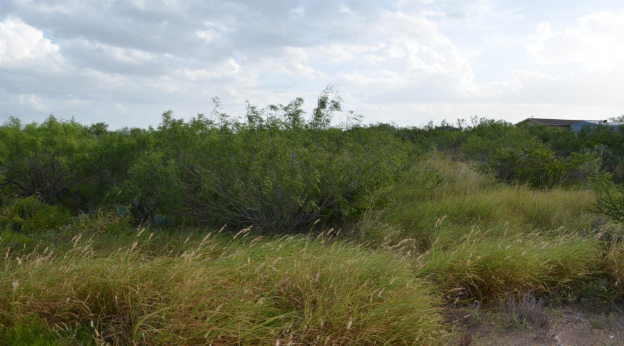 Lot 91 Los Centenarios, Laredo, Texas 78043, ,Land,For Sale,Lot 91 Los Centenarios,20263313