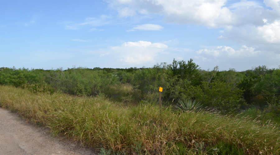 Lot 91 Los Centenarios, Laredo, Texas 78043, ,Land,For Sale,Lot 91 Los Centenarios,20263313