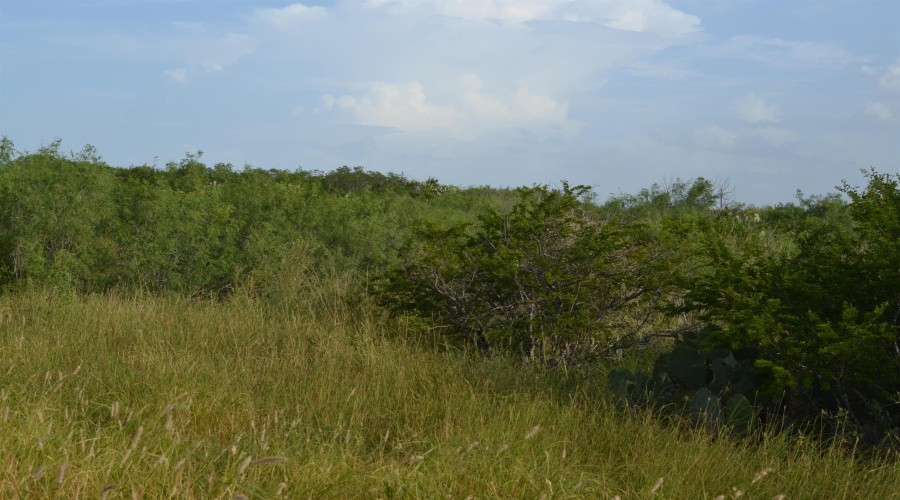 Lot 91 Los Centenarios, Laredo, Texas 78043, ,Land,For Sale,Lot 91 Los Centenarios,20263313
