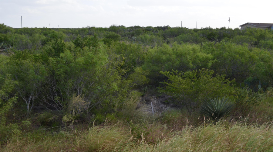 Lot 91 Los Centenarios, Laredo, Texas 78043, ,Land,For Sale,Lot 91 Los Centenarios,20263313