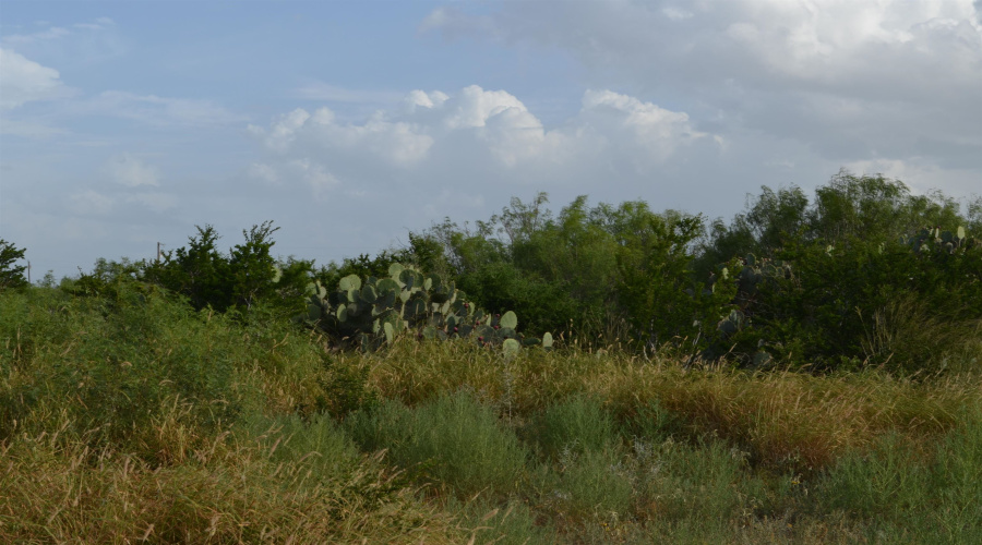Lot 91 Los Centenarios, Laredo, Texas 78043, ,Land,For Sale,Lot 91 Los Centenarios,20263313
