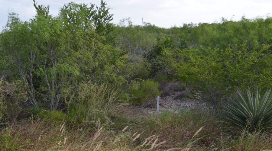 Lot 91 Los Centenarios, Laredo, Texas 78043, ,Land,For Sale,Lot 91 Los Centenarios,20263313