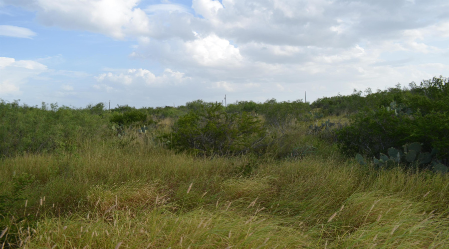 Lot 91 Los Centenarios, Laredo, Texas 78043, ,Land,For Sale,Lot 91 Los Centenarios,20263313