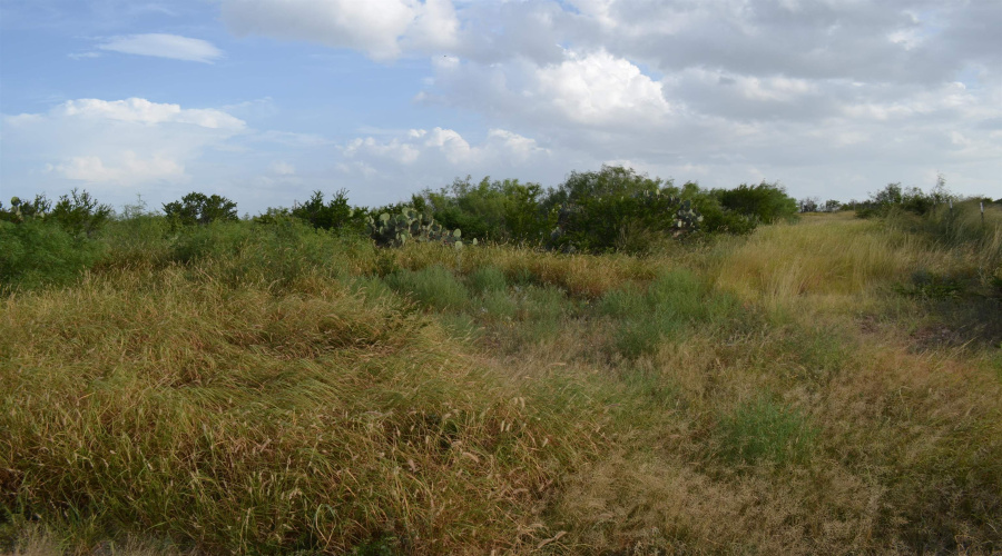 Lot 91 Los Centenarios, Laredo, Texas 78043, ,Land,For Sale,Lot 91 Los Centenarios,20263313