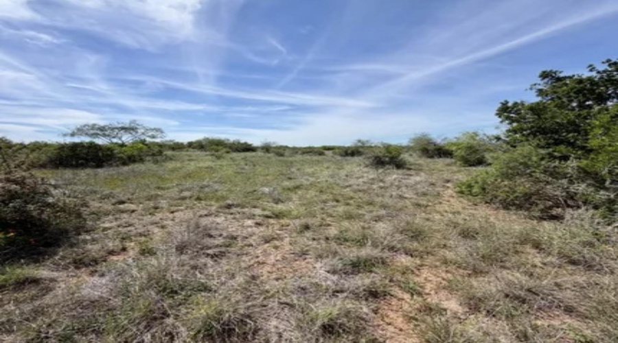 ABST 163 J W Dennis Tract 3, George West, Texas 78022, ,Land,For Sale,ABST 163 J W Dennis Tract 3,20263332
