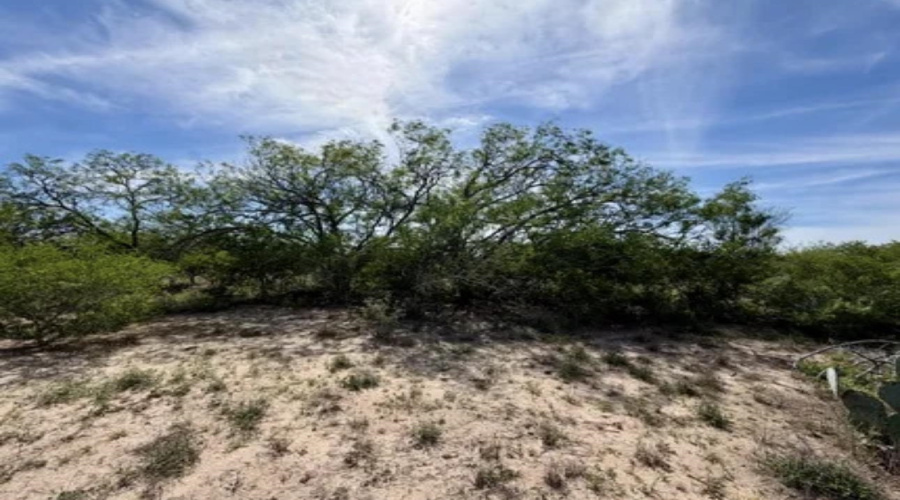 ABST 163 J W Dennis Tract 3, George West, Texas 78022, ,Land,For Sale,ABST 163 J W Dennis Tract 3,20263332