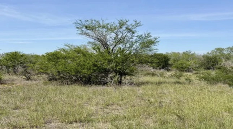 ABST 163 J W Dennis Tract 3, George West, Texas 78022, ,Land,For Sale,ABST 163 J W Dennis Tract 3,20263332