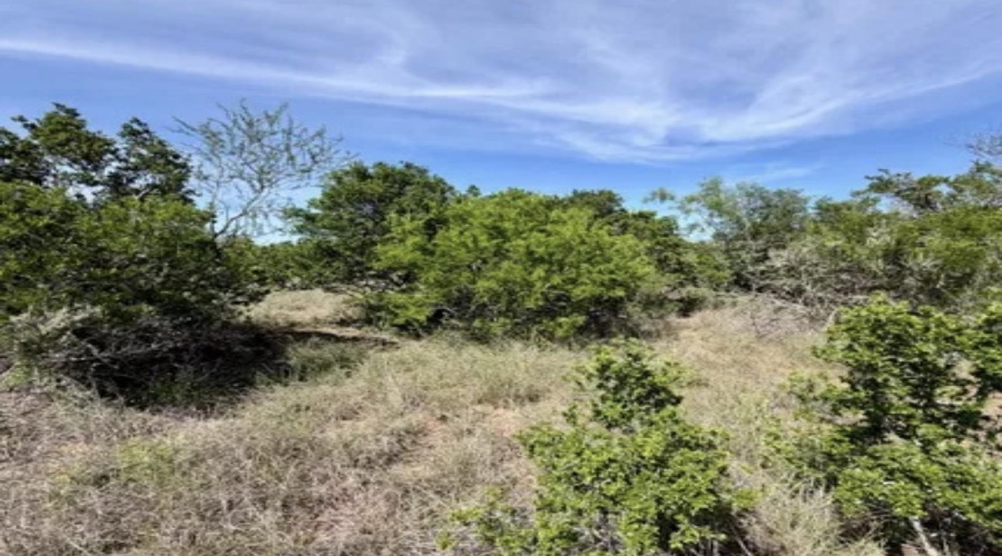 ABST 163 J W Dennis Tract 3, George West, Texas 78022, ,Land,For Sale,ABST 163 J W Dennis Tract 3,20263332