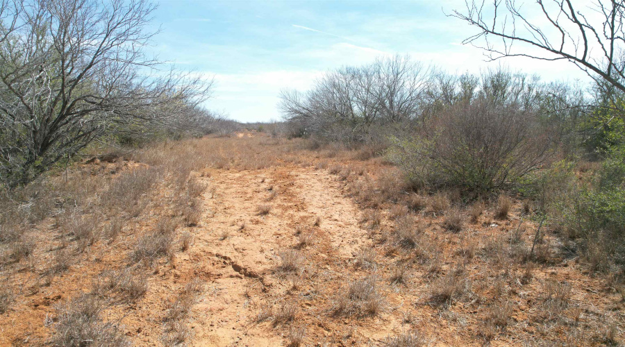 Tract 59-B, Laredo, Texas 78045, ,Land,For Sale,Tract 59-B,20263388