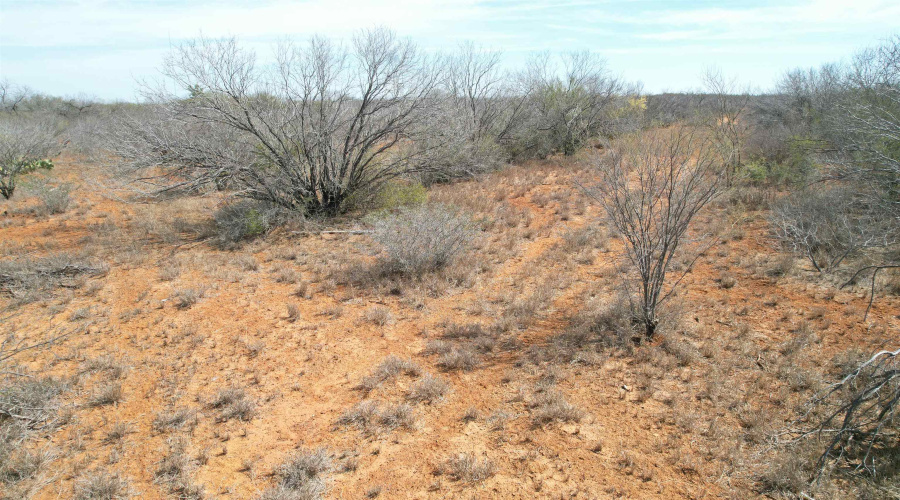 Tract 59-B, Laredo, Texas 78045, ,Land,For Sale,Tract 59-B,20263388