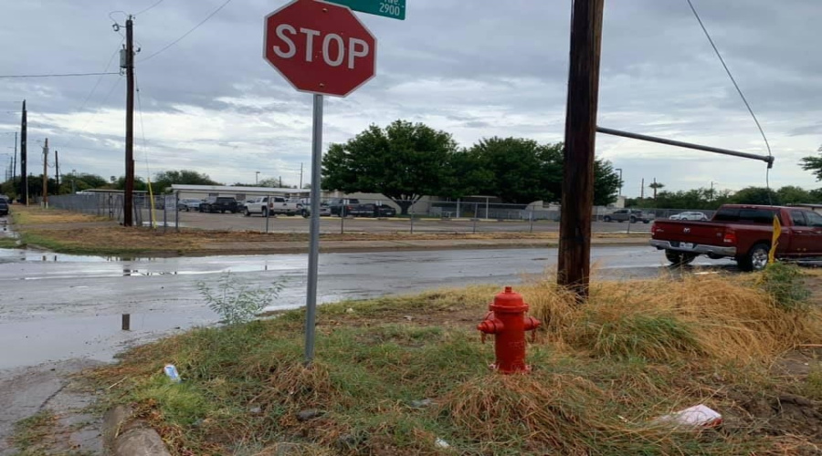 309 Frost St, Laredo, Texas 78046, ,Land,For Sale,309 Frost St,20263397