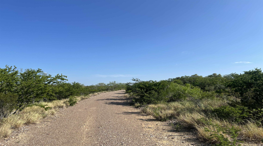 ABST 66 POR 59, Laredo, Texas 78046, ,Land,For Sale,ABST 66 POR 59,20263400