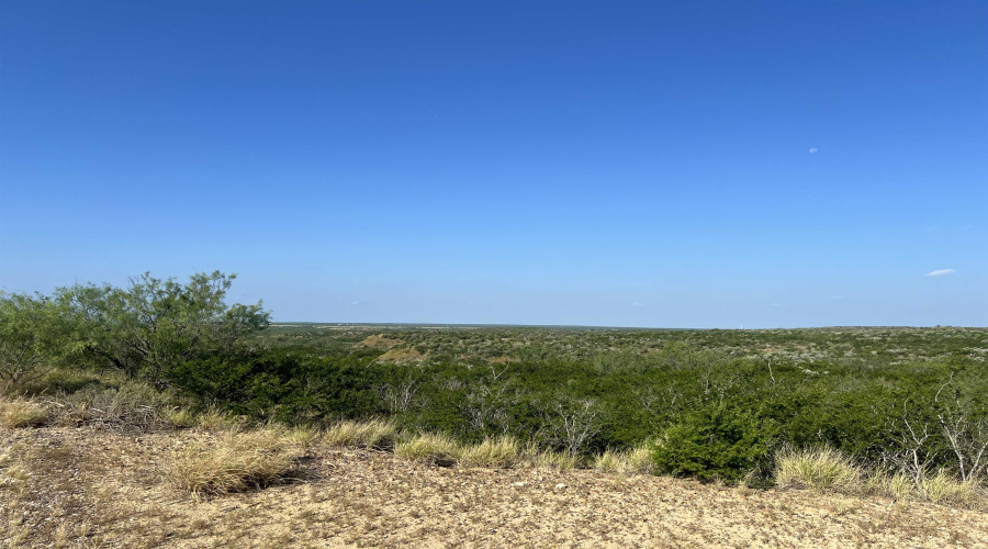 ABST 66 POR 59, Laredo, Texas 78046, ,Land,For Sale,ABST 66 POR 59,20263400