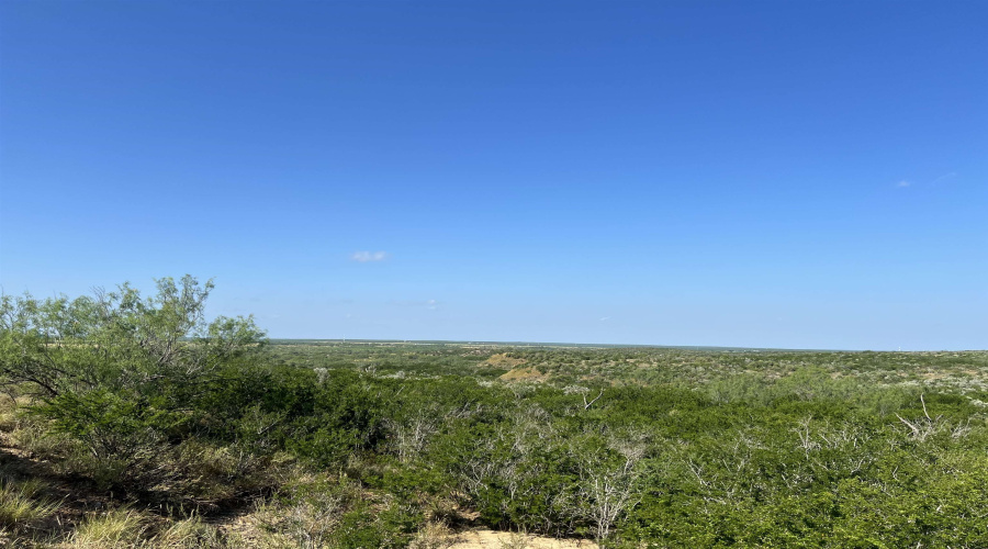 ABST 66 POR 59, Laredo, Texas 78046, ,Land,For Sale,ABST 66 POR 59,20263400