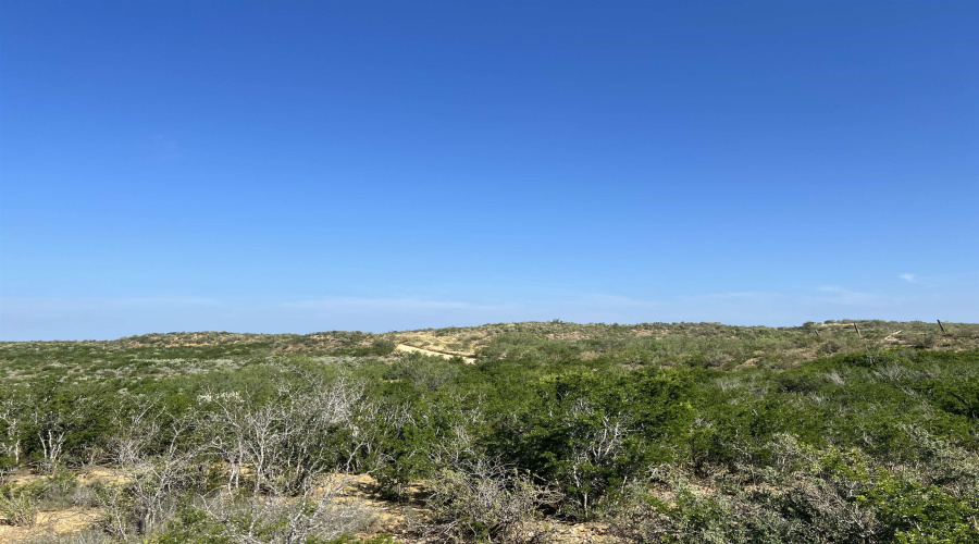 ABST 66 POR 59, Laredo, Texas 78046, ,Land,For Sale,ABST 66 POR 59,20263400