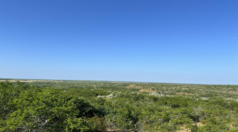 ABST 66 POR 59, Laredo, Texas 78046, ,Land,For Sale,ABST 66 POR 59,20263400