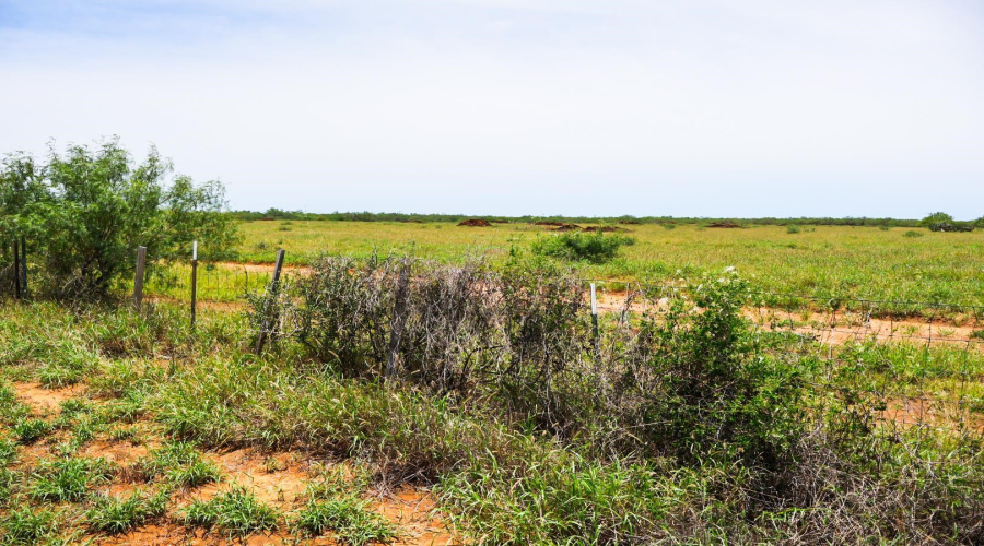 ABST 1683-398 J M Rodriguez, Laredo, Texas 00000, ,Land,For Sale,ABST 1683-398 J M Rodriguez,20263406