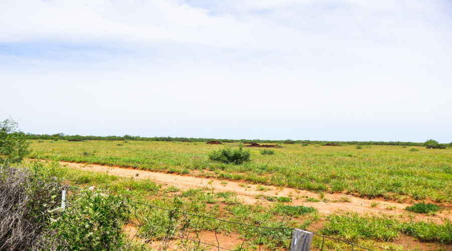 ABST 1683-398 J M Rodriguez, Laredo, Texas 00000, ,Land,For Sale,ABST 1683-398 J M Rodriguez,20263406