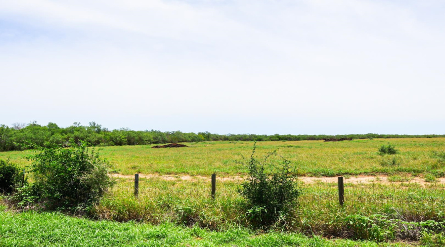 ABST 1683-398 J M Rodriguez, Laredo, Texas 00000, ,Land,For Sale,ABST 1683-398 J M Rodriguez,20263406