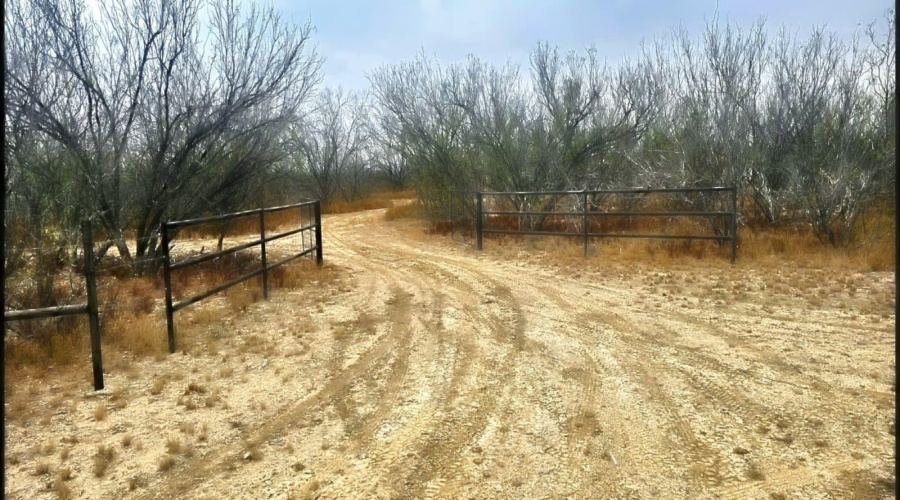 OUT OF AREA, CRYSTAL, Texas 78839, ,Land,For Sale,OUT OF AREA,20263419