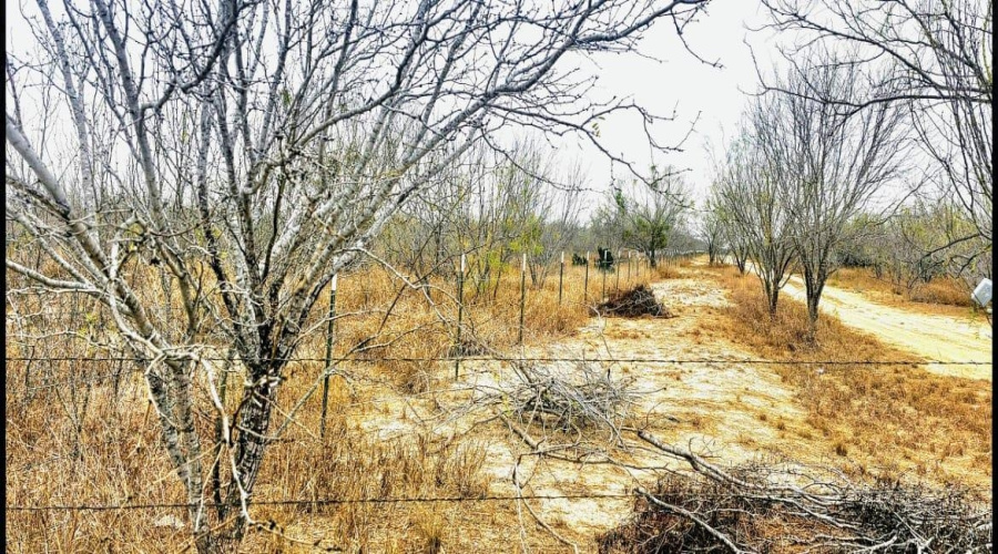OUT OF AREA, CRYSTAL, Texas 78839, ,Land,For Sale,OUT OF AREA,20263419