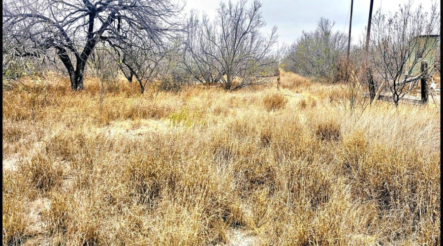 OUT OF AREA, CRYSTAL, Texas 78839, ,Land,For Sale,OUT OF AREA,20263419