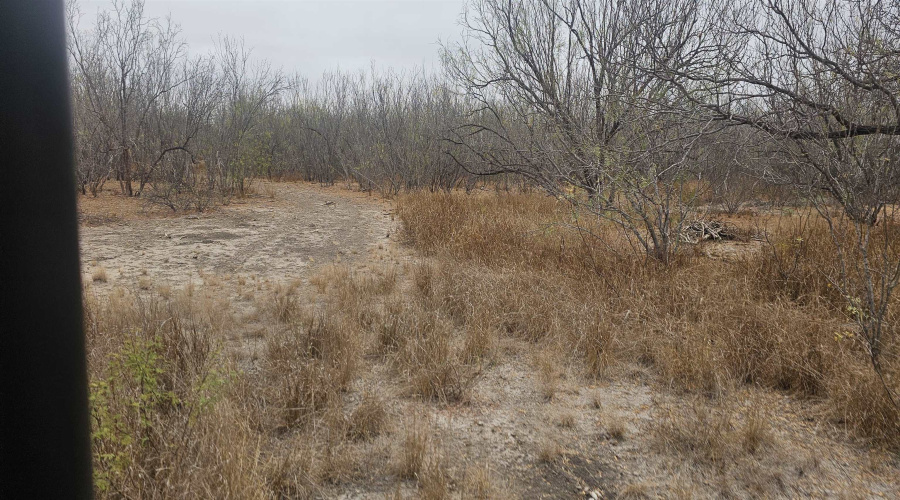 OUT OF AREA, CRYSTAL, Texas 78839, ,Land,For Sale,OUT OF AREA,20263419