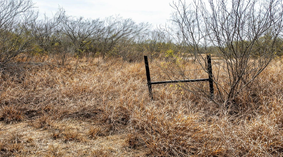 OUT OF AREA, CRYSTAL, Texas 78839, ,Land,For Sale,OUT OF AREA,20263419