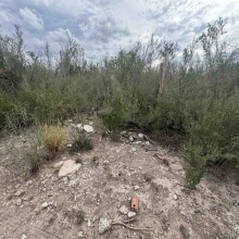 000 Valdez, Laredo, Texas 78041, ,Land,For Sale,000 Valdez,20263434