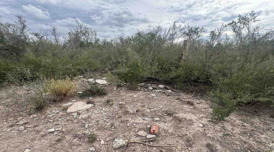 000 Valdez, Laredo, Texas 78041, ,Land,For Sale,000 Valdez,20263434